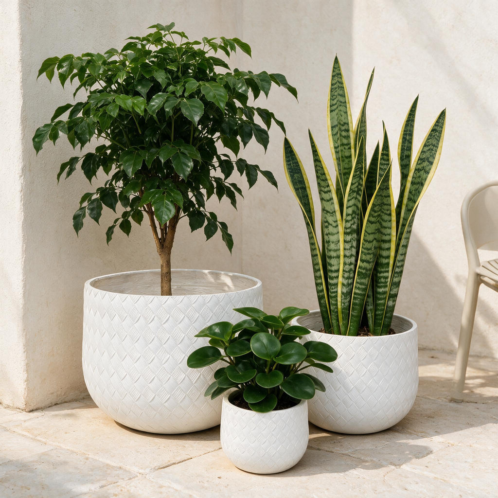 Textured White Outdoor Planters — Set of 3 — styled in a calm outdoor setting