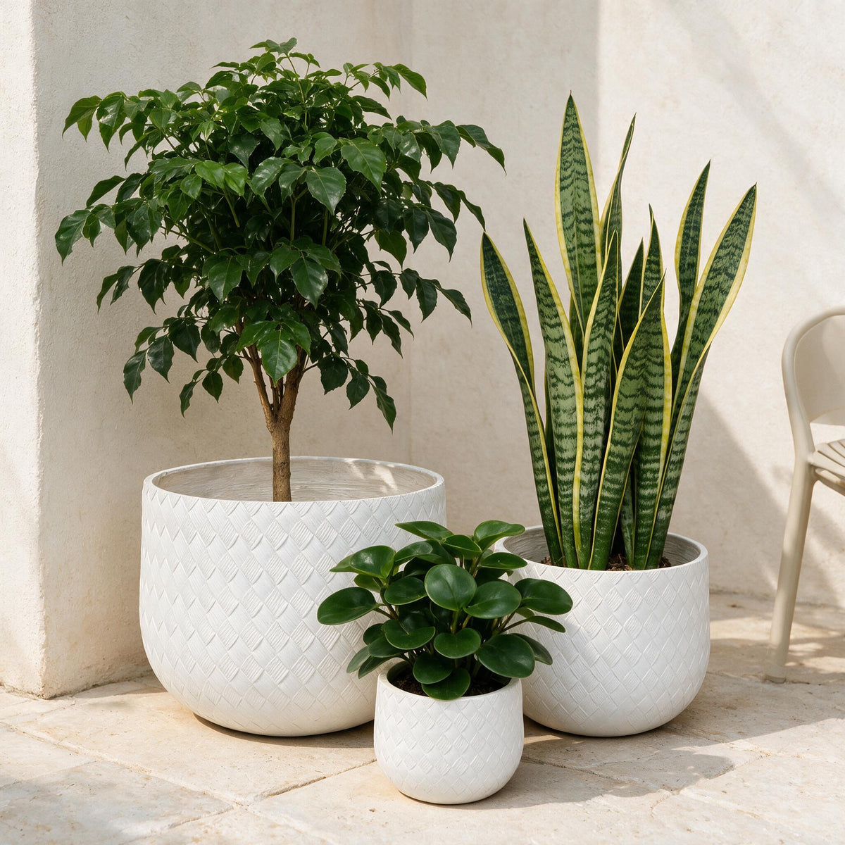 Textured White Outdoor Planters — Set of 3 — styled in a calm outdoor setting